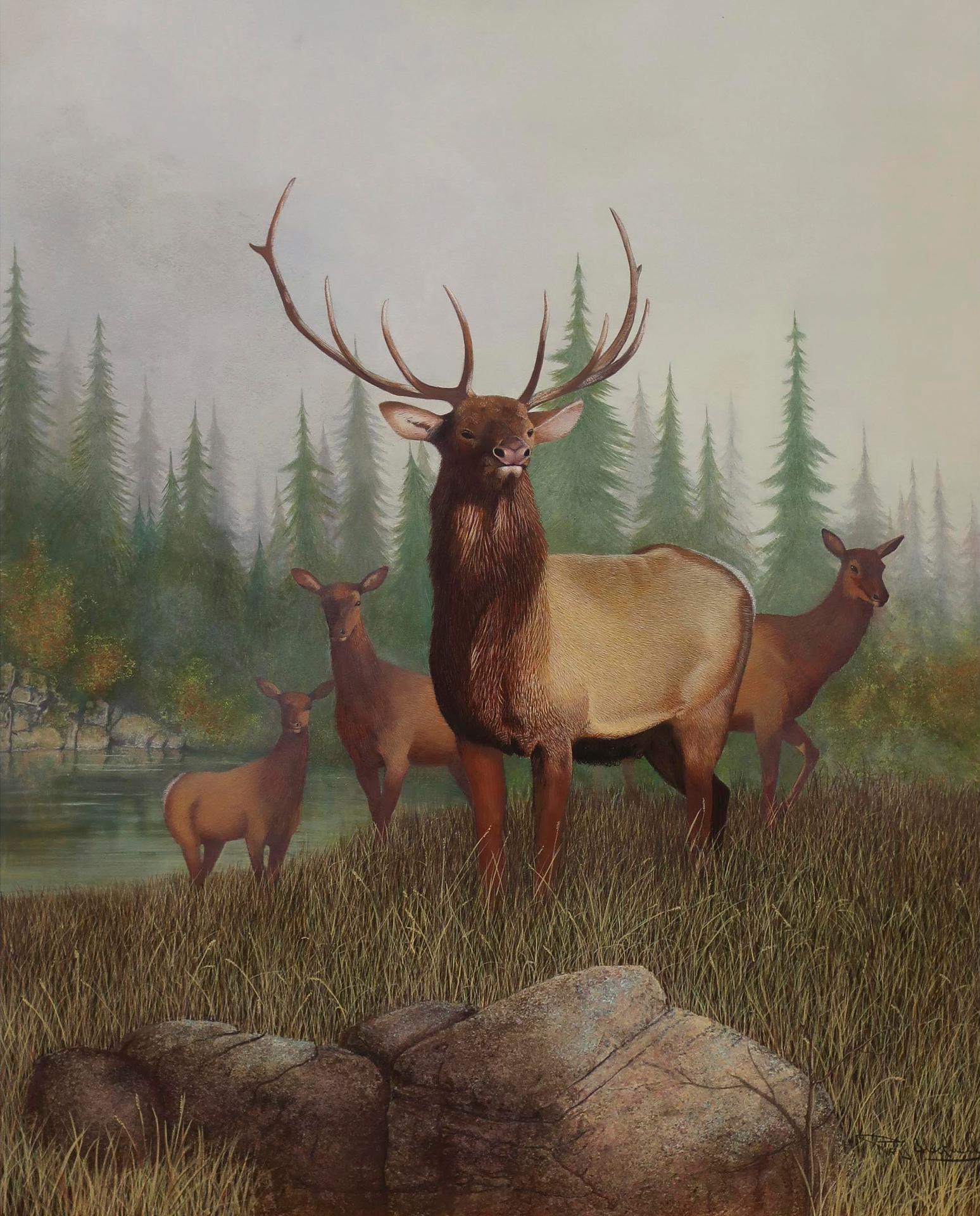 Neil Blackwell - Wapiti