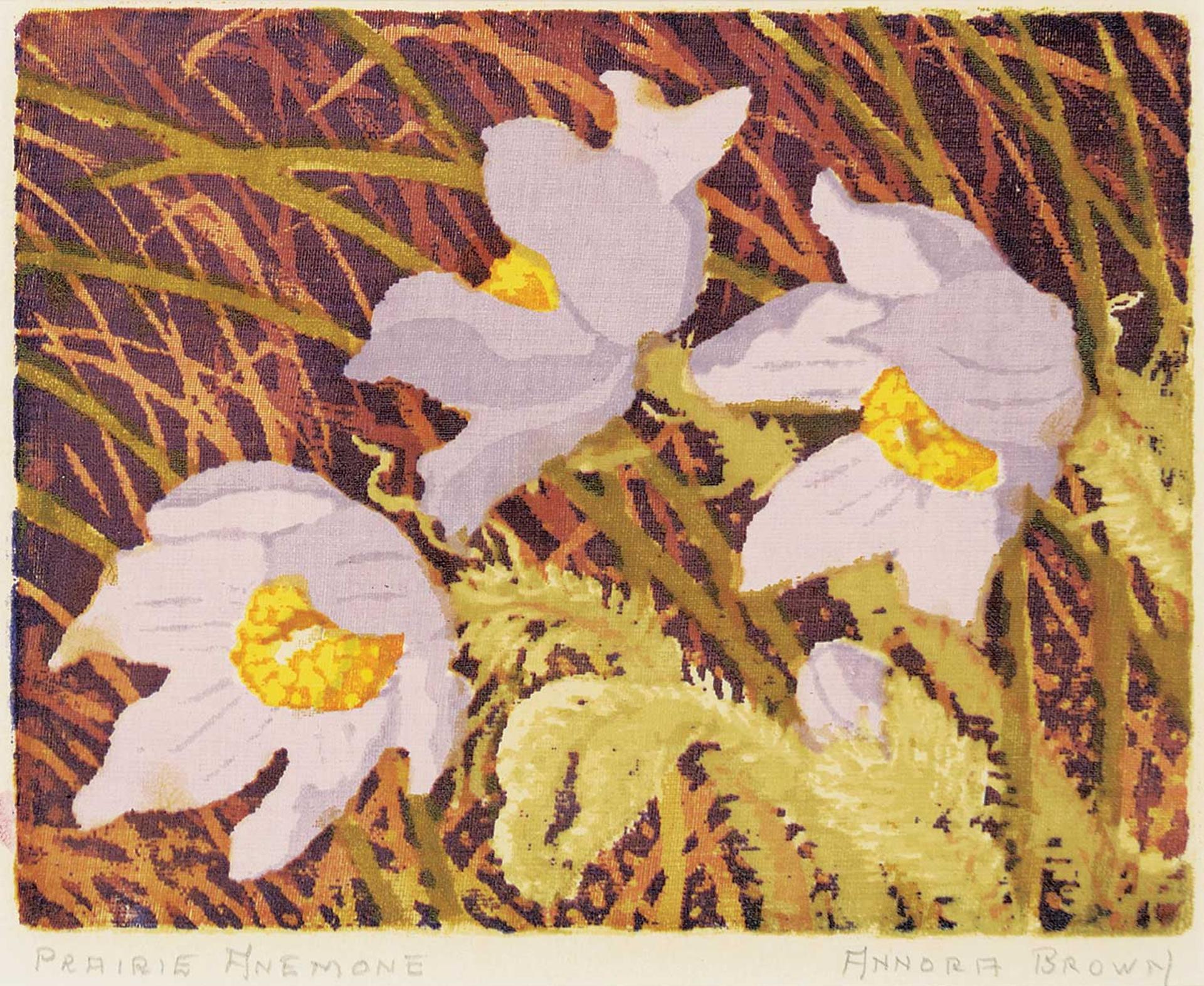 Annora Brown (1899-1987) - Prairie Anemone