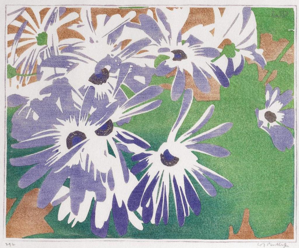 Walter Joseph (W.J.) Phillips (1884-1963) - Cineraria