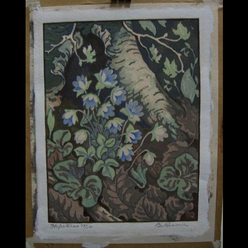 Barrie Rennie (1895-1965) - Hepaticas; Yellow Ladyslipper