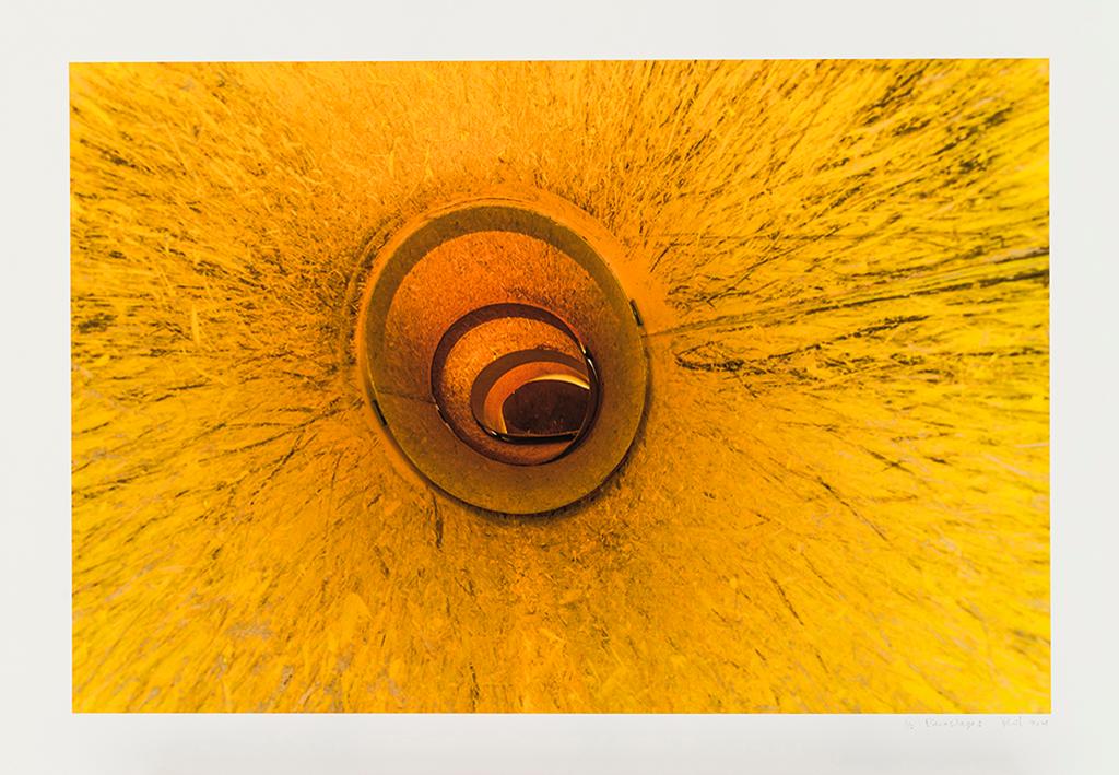 Philippe Allard - Parasitages, 2014