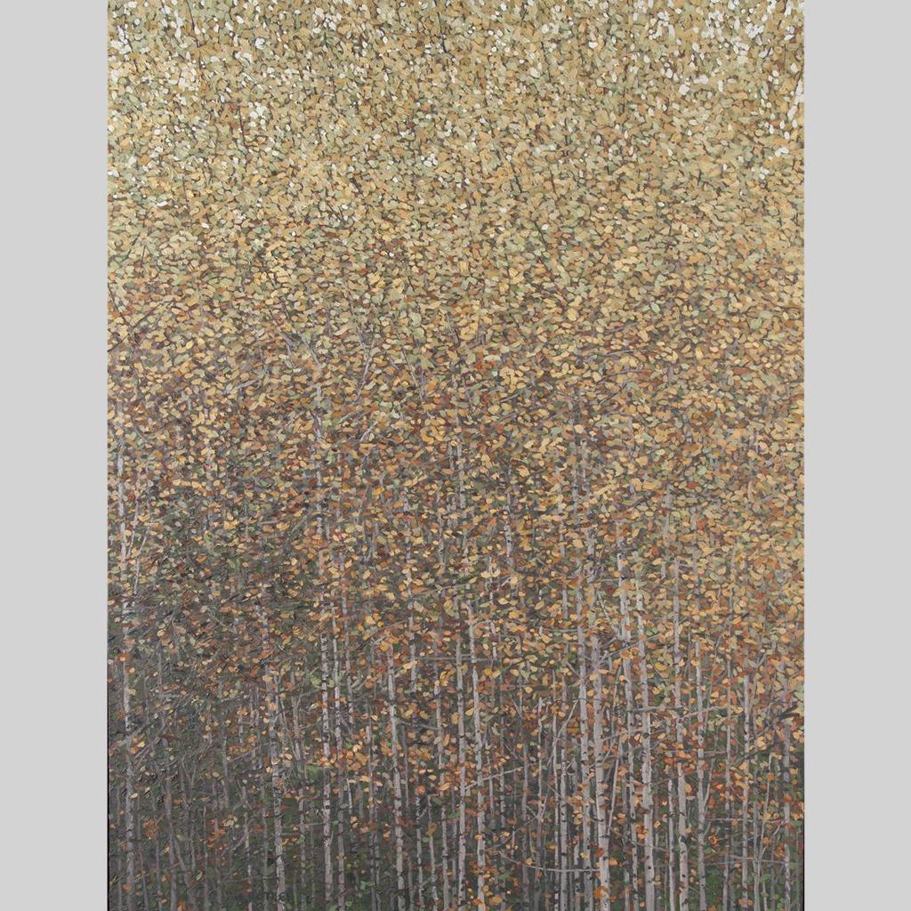 Peter Rotter - Birch Grove