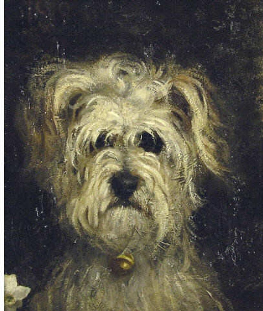 A.H. Coates - Untitled