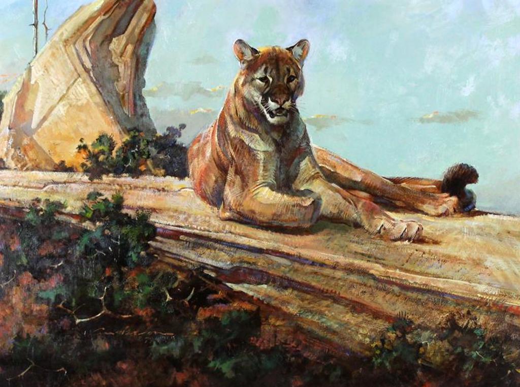 Dennis P. Anderson (1940-2005) - COUGAR; 1979