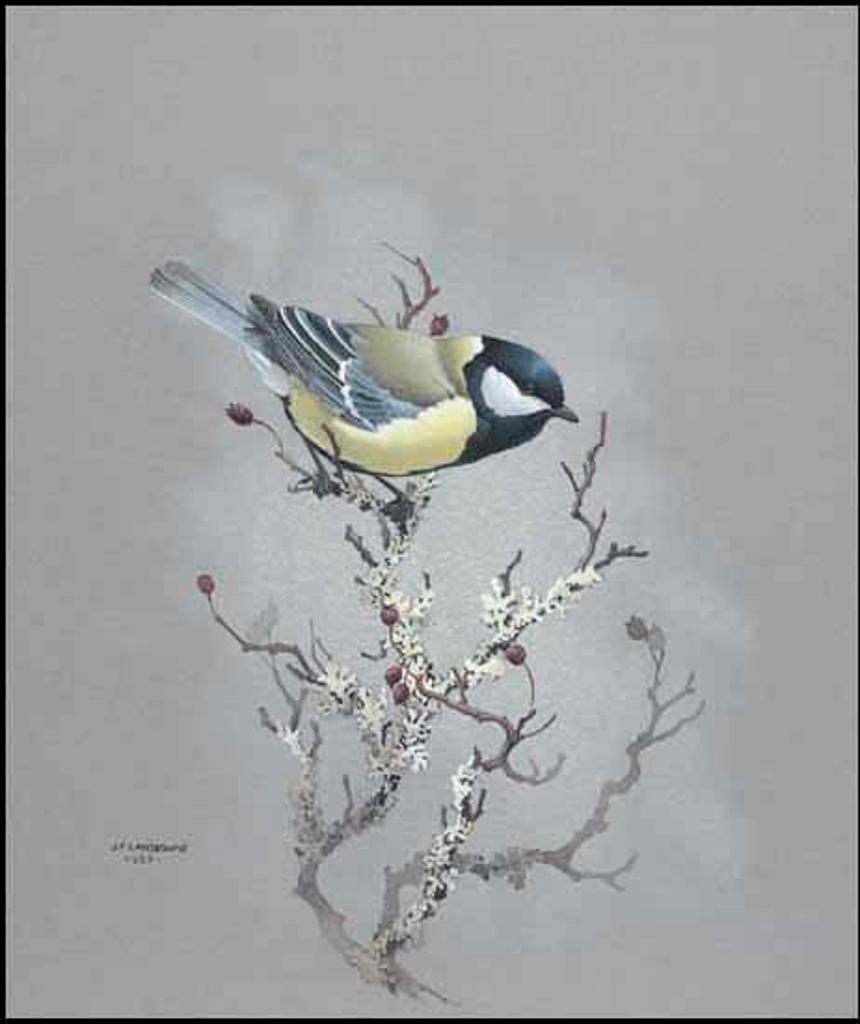 James Fenwick Lansdowne (1937-2008) - Great Tit