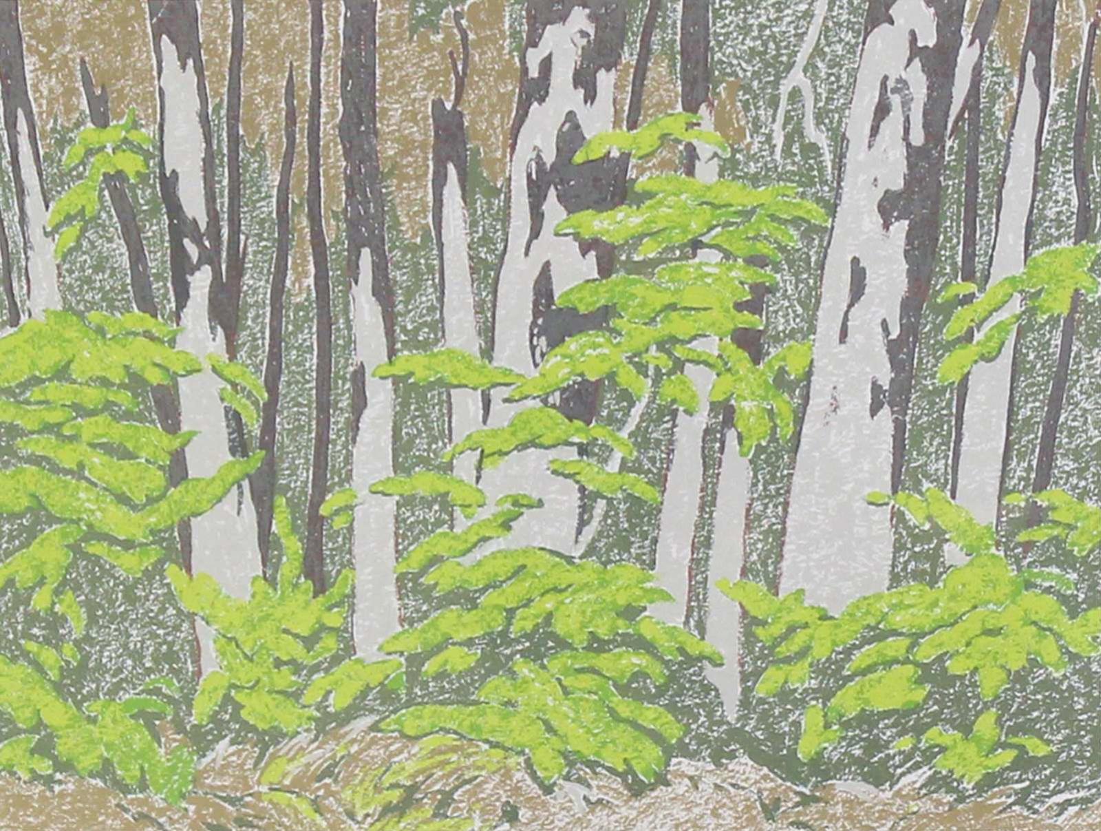 Alfred Joseph (A.J.) Casson (1898-1992) - Forest Edge