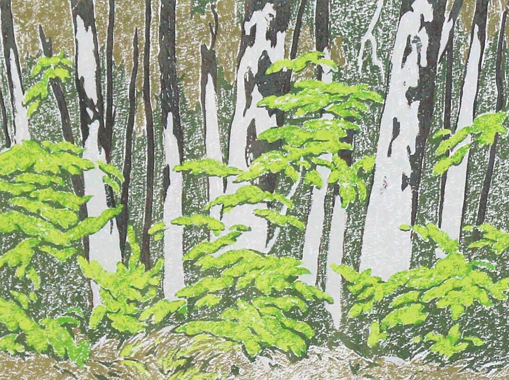 Alfred Joseph (A.J.) Casson (1898-1992) - Forest Edge