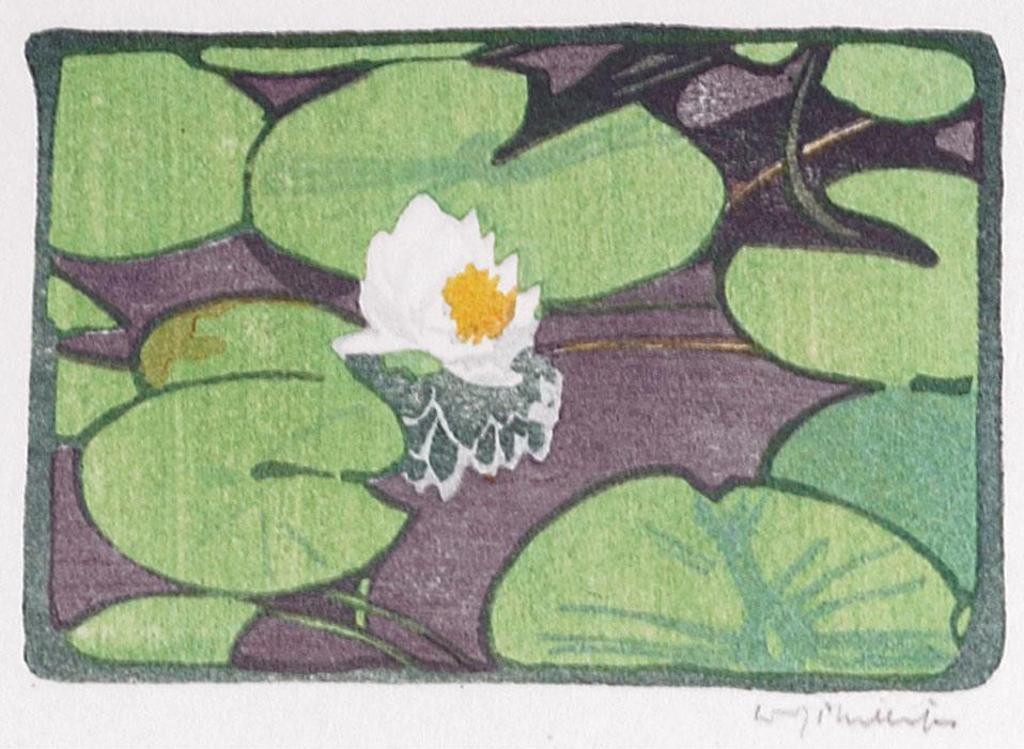 Walter Joseph (W.J.) Phillips (1884-1963) - The Lily