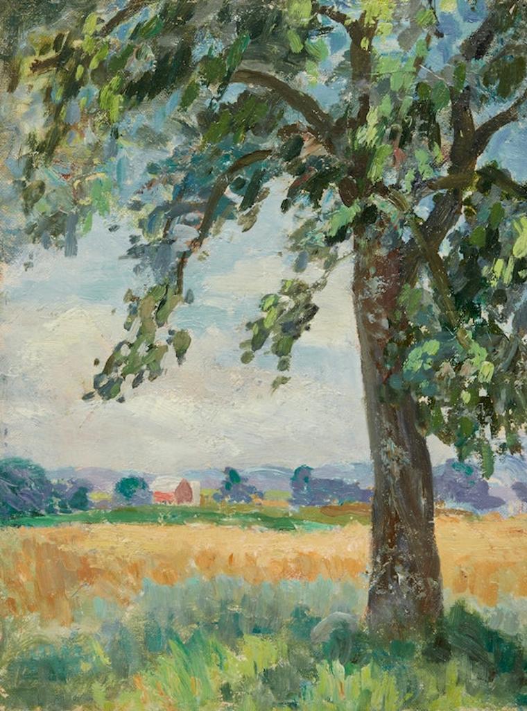 Aleen Elizabeth Aked (1907-2003) - Four Studies of Trees