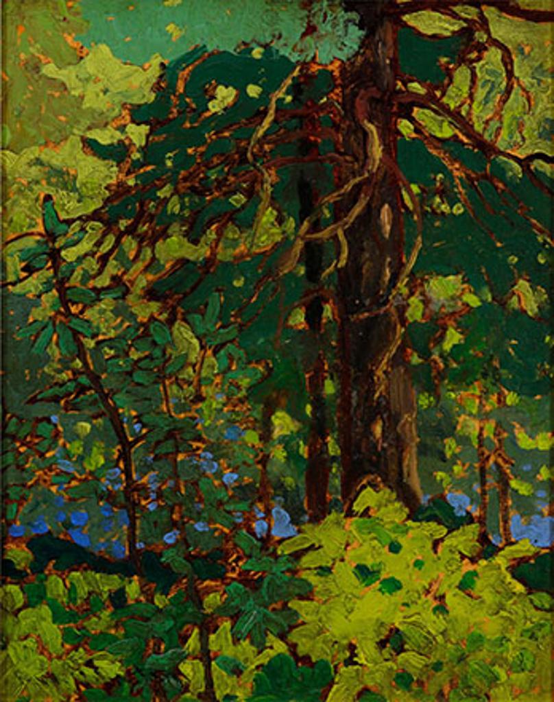 Frank (Franz) Hans Johnston (1888-1949) - Lake of the Woods