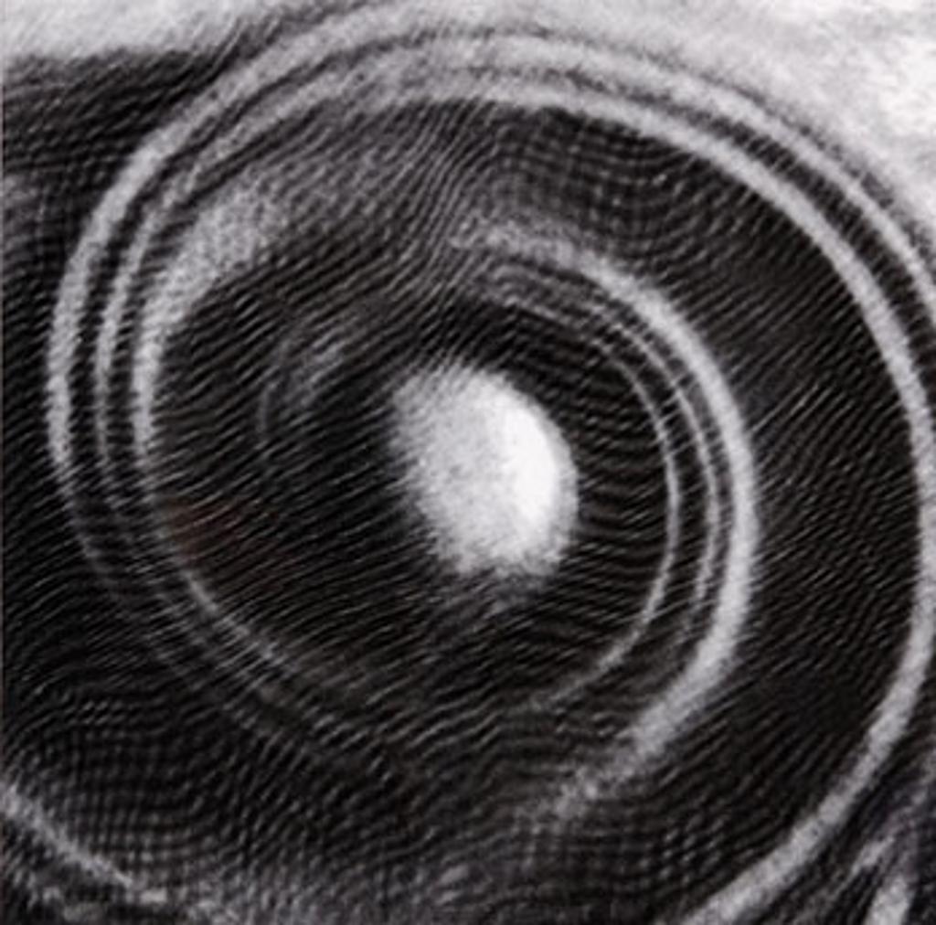 Penelope Stewart - Rosette & Coil Series #1 (03913)