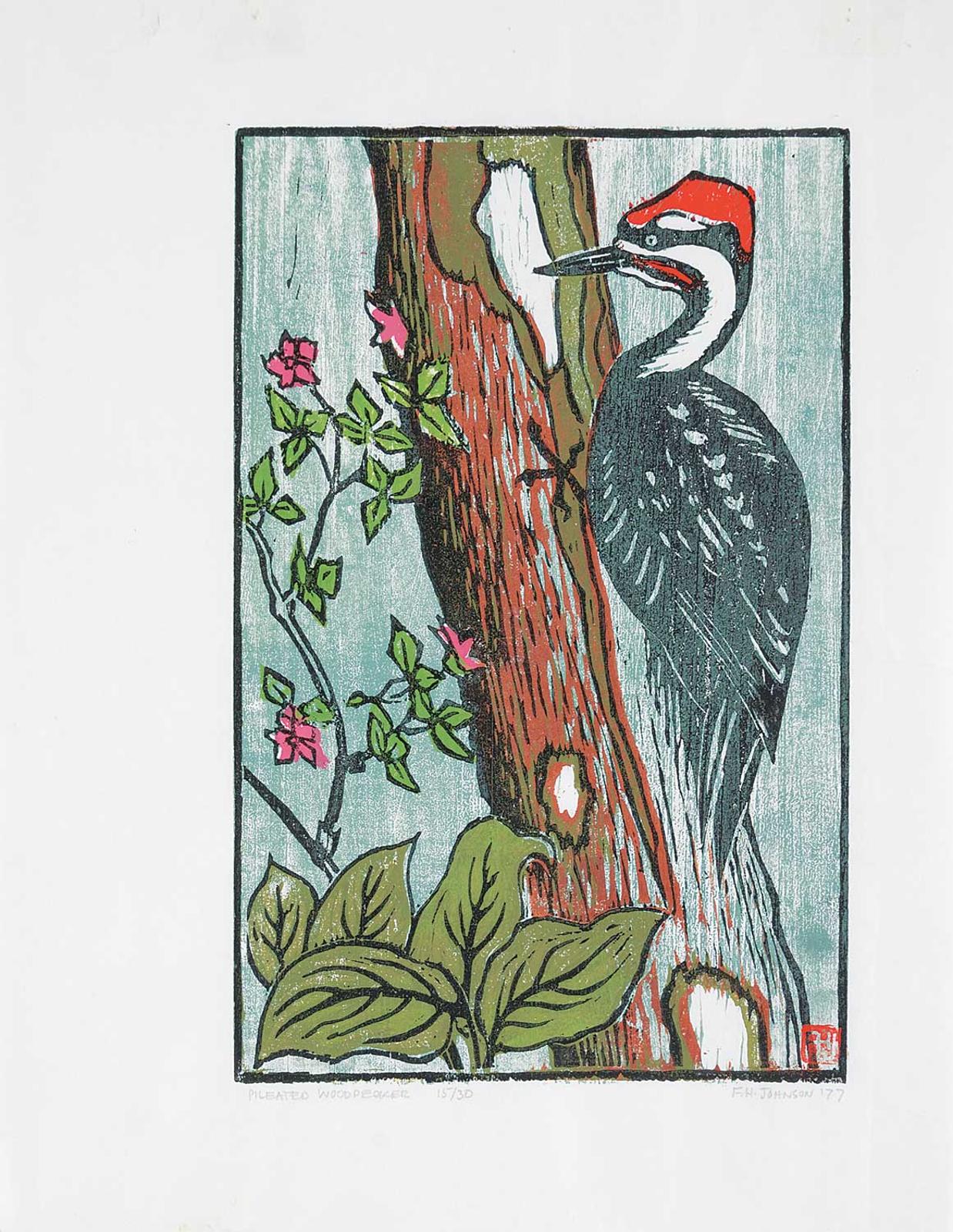F.H. Johnston - Pileated Woodpecker #15/30