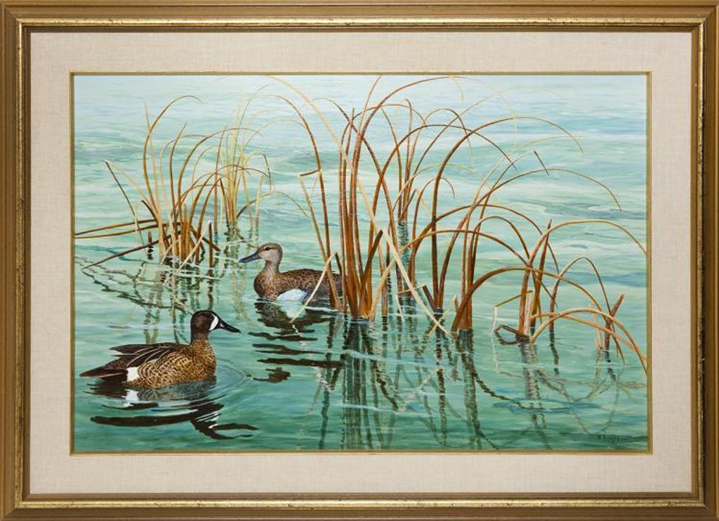 Neville Simpson - Marsh Shallows (blue-winged teals)