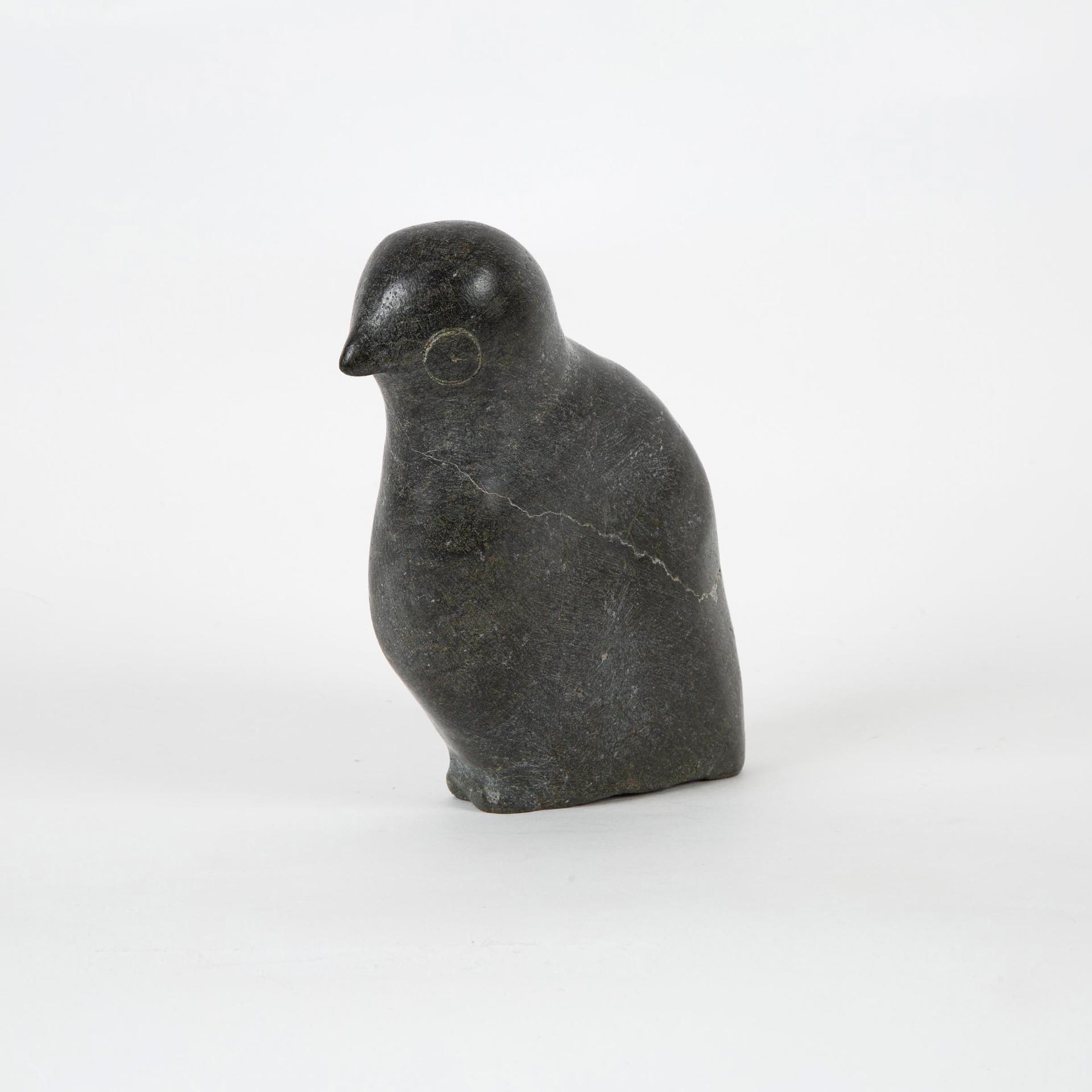 Appolina - Bird