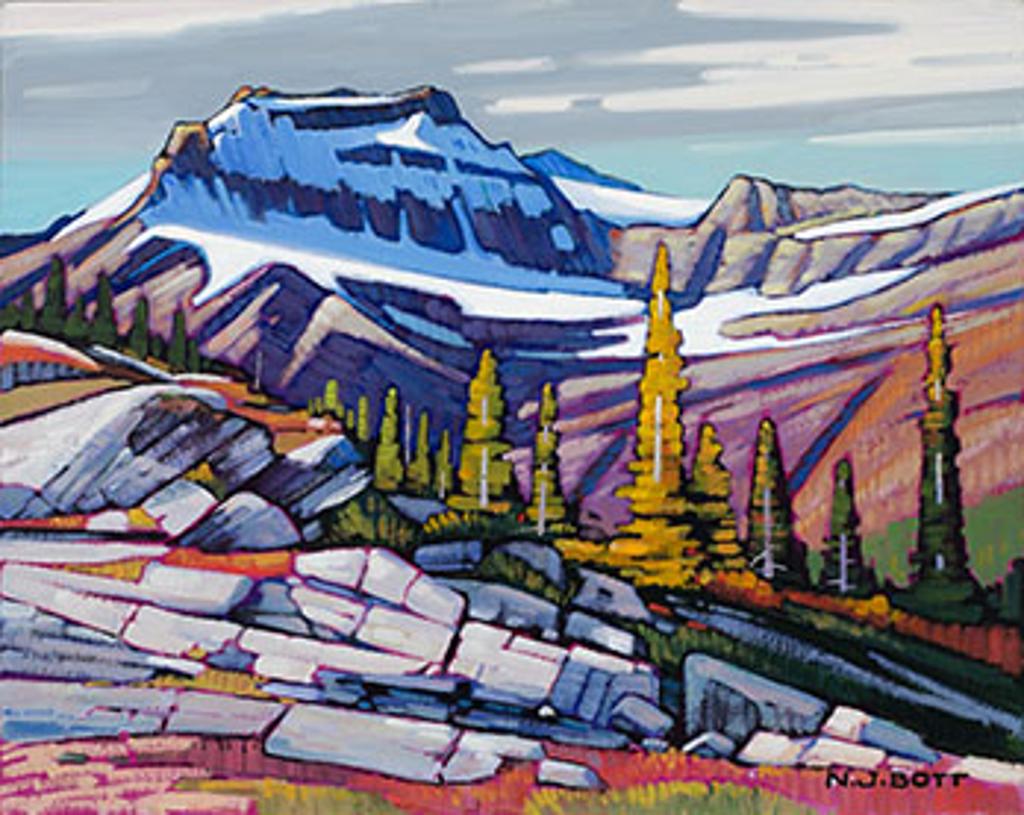 Nicolas Johannes Bott (1944-2021) - Continental Range