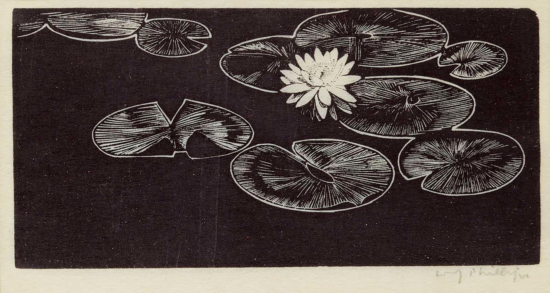 Walter Joseph (W.J.) Phillips (1884-1963) - Lily