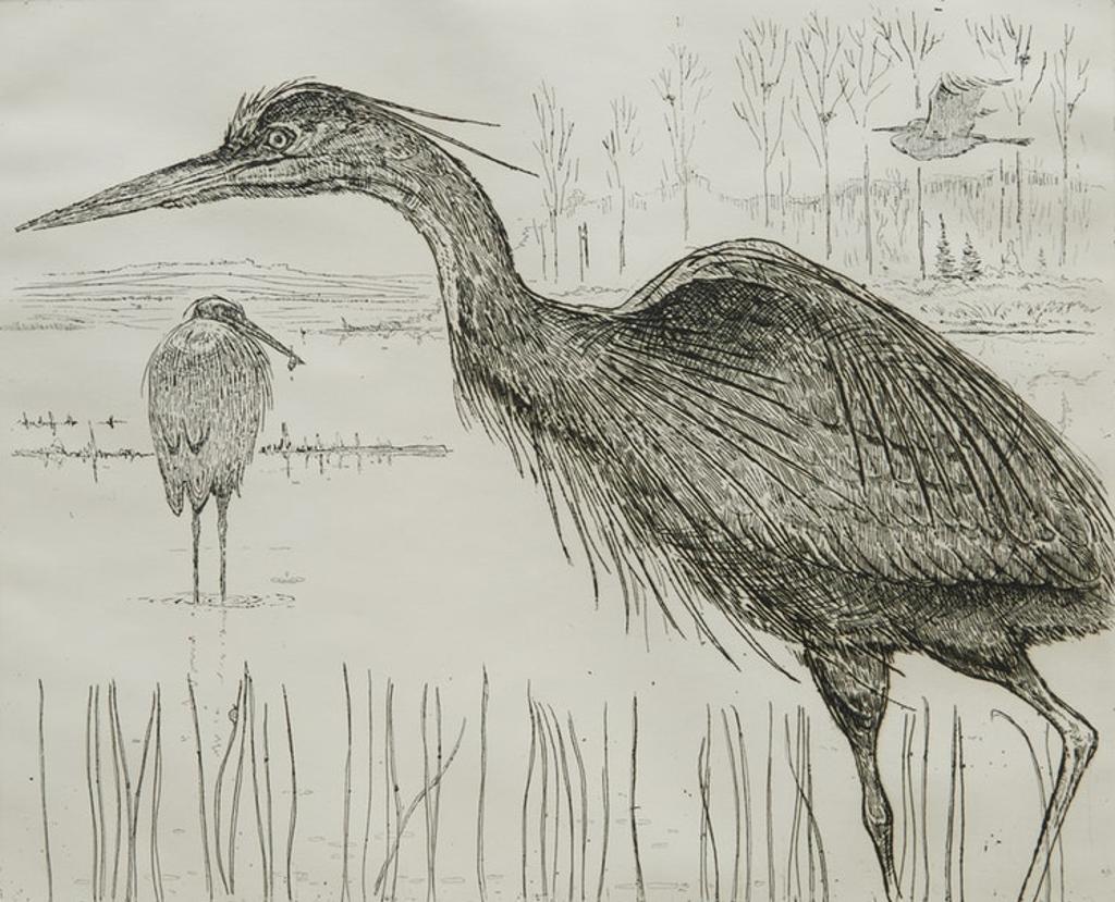 Eric Nasmith (1916-1985) - Great Blue Herons #2