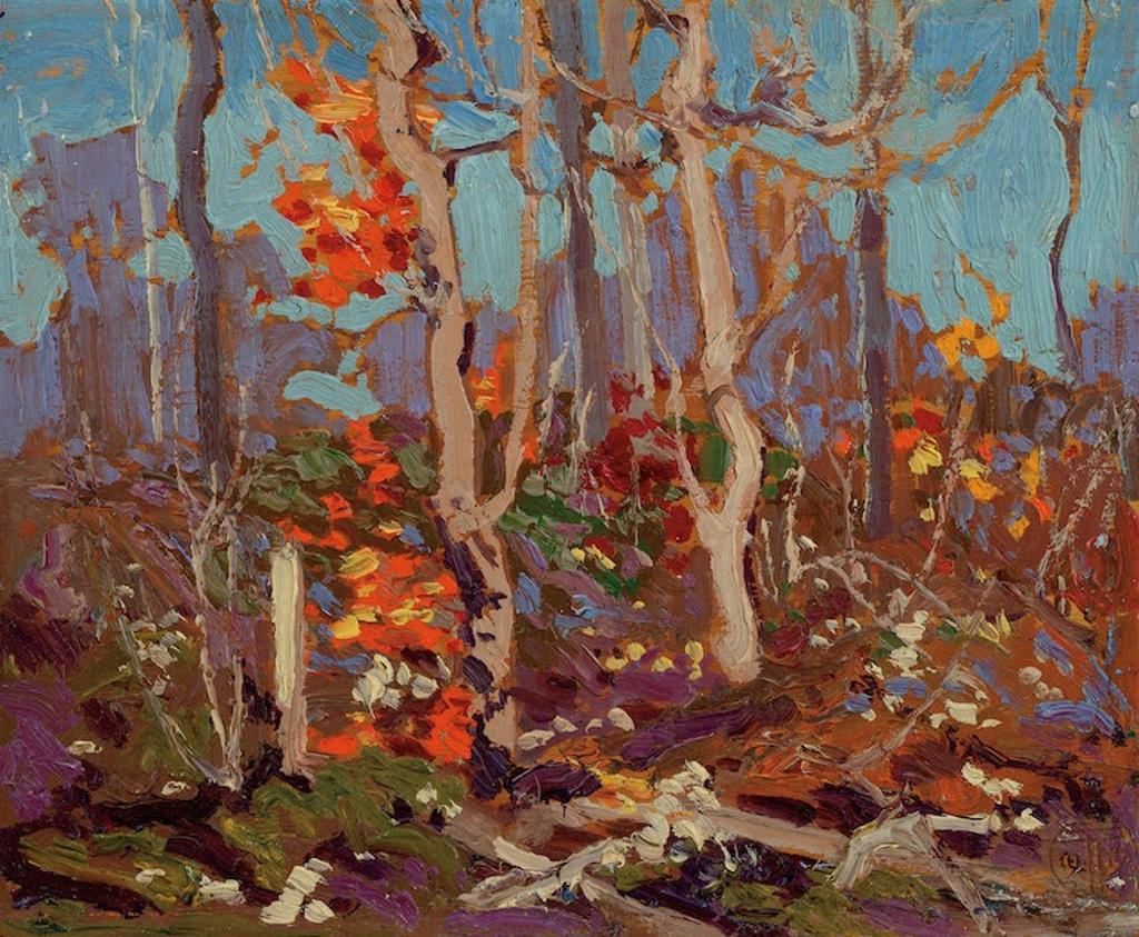 Thomas John (Tom) Thomson (1877-1917) - Ragged Oaks, 1916