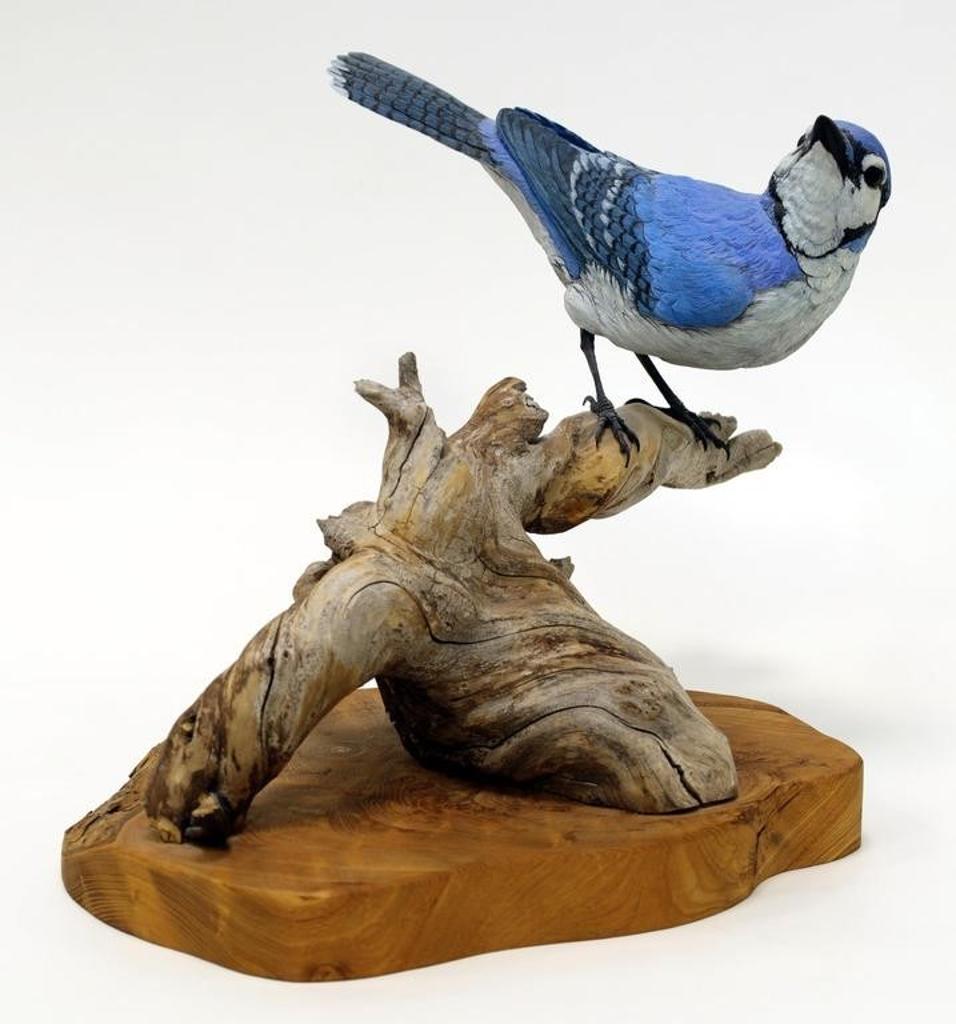 Deanna Bartholow - Blue Jay