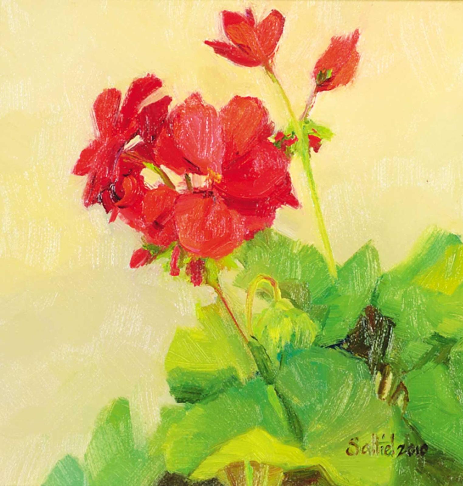 Alice Saltiel-Marshall (1948) - Patio Geranium