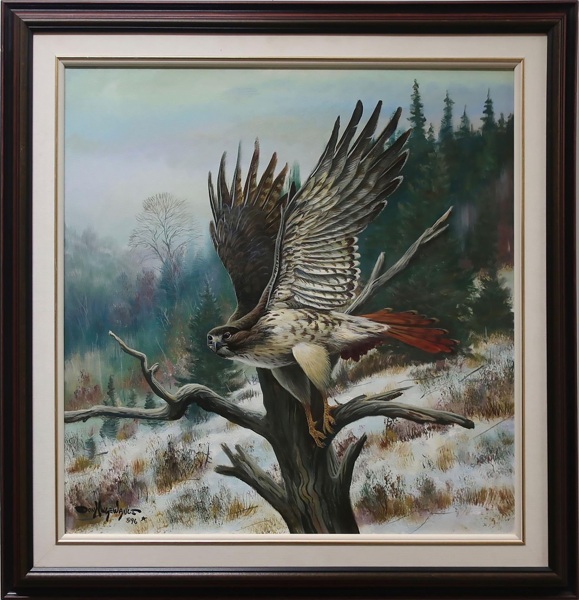Don Ningewance (1948) - Red Tail Hawk