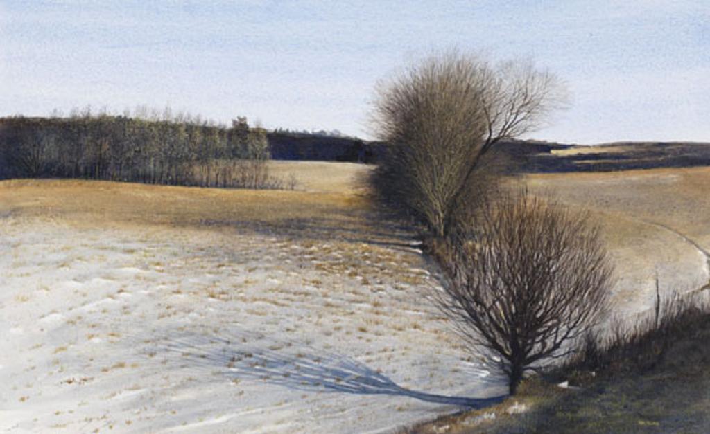 Ken Tolmie - Field in December