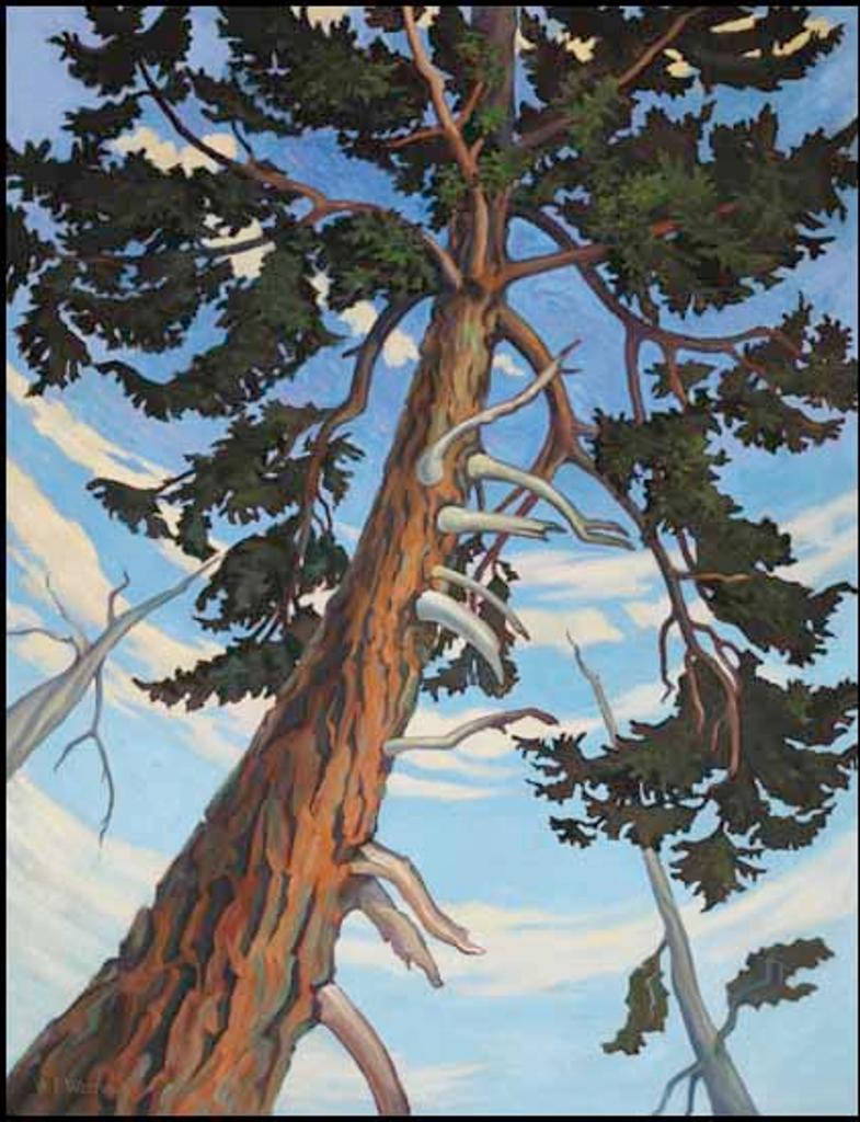 William Percival (W.P.) Weston (1879-1967) - Forest Spires