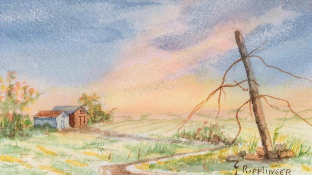 Coreen Ripplinger (1935-2016) - Old Bins
