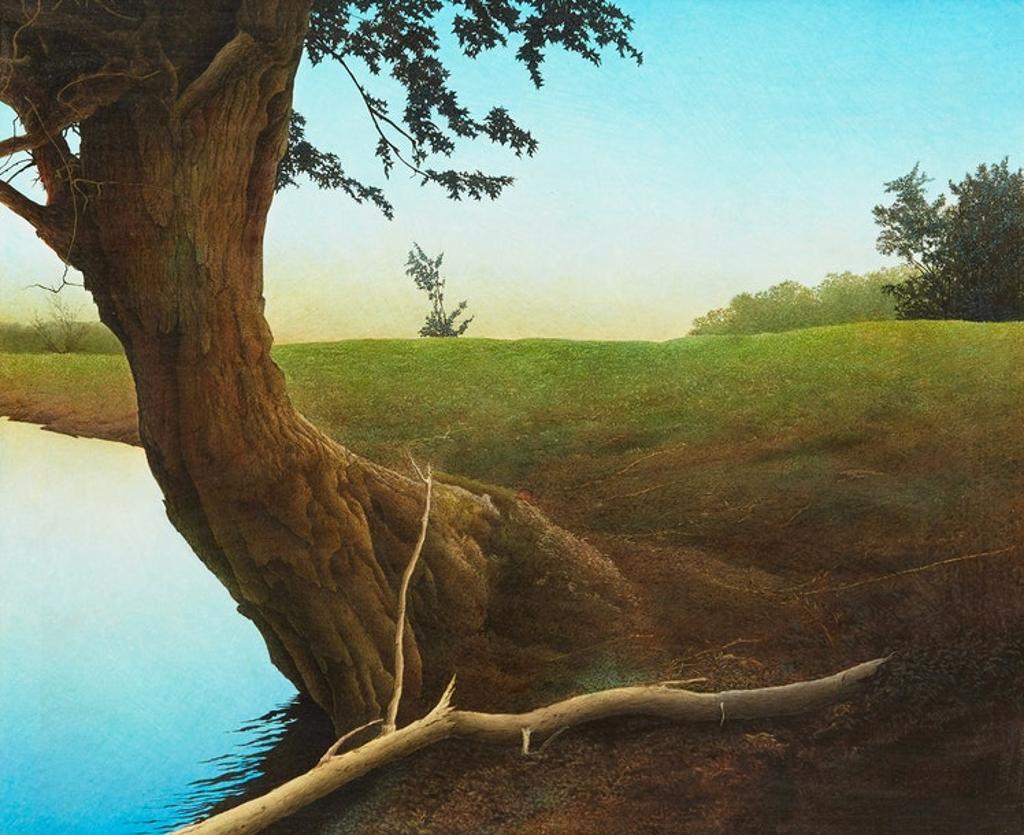 Lloyd Fitzgerald (1941) - Lake Shore and Field