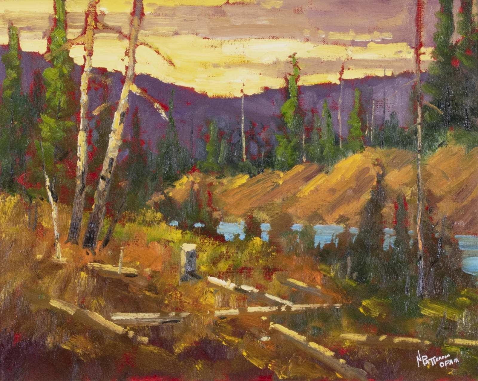 Neil Patterson (1947) - Chinook Light