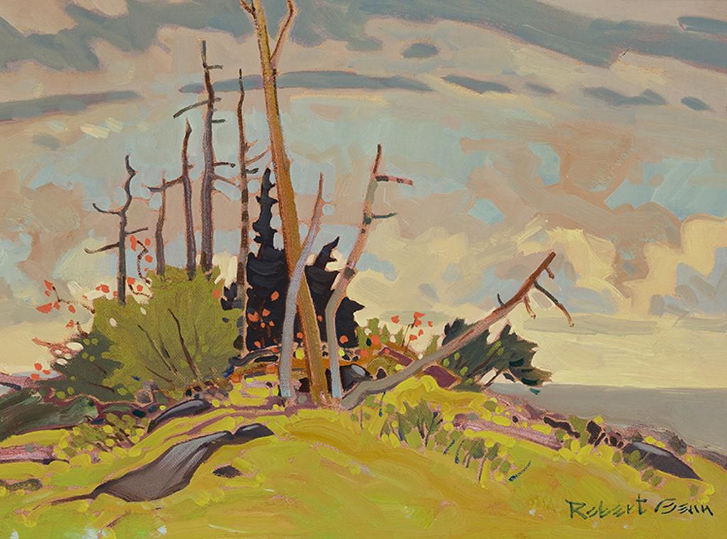 Robert Douglas Genn (1936-2014) - Hillock with Snags