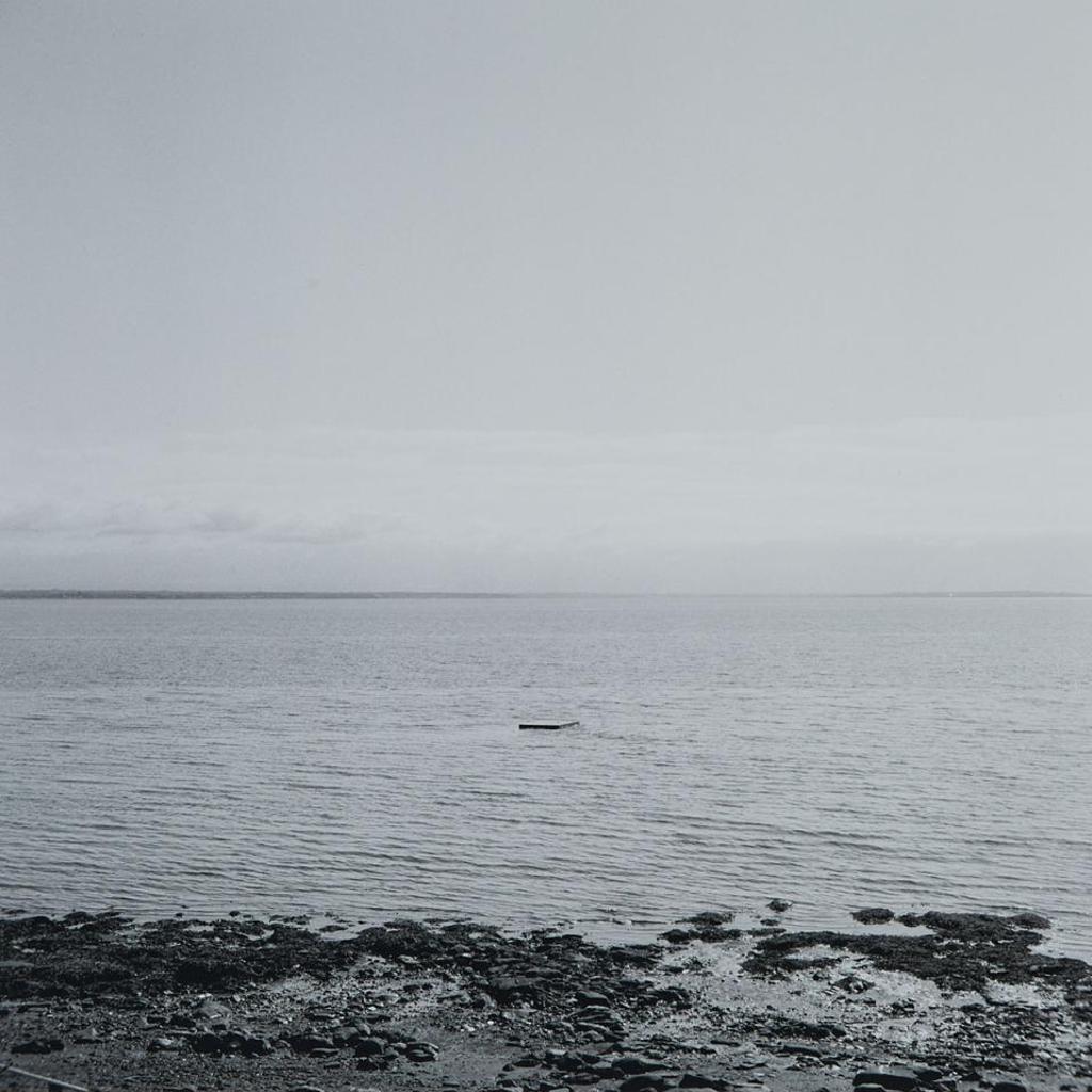 Liss Platt (1965) - Constant