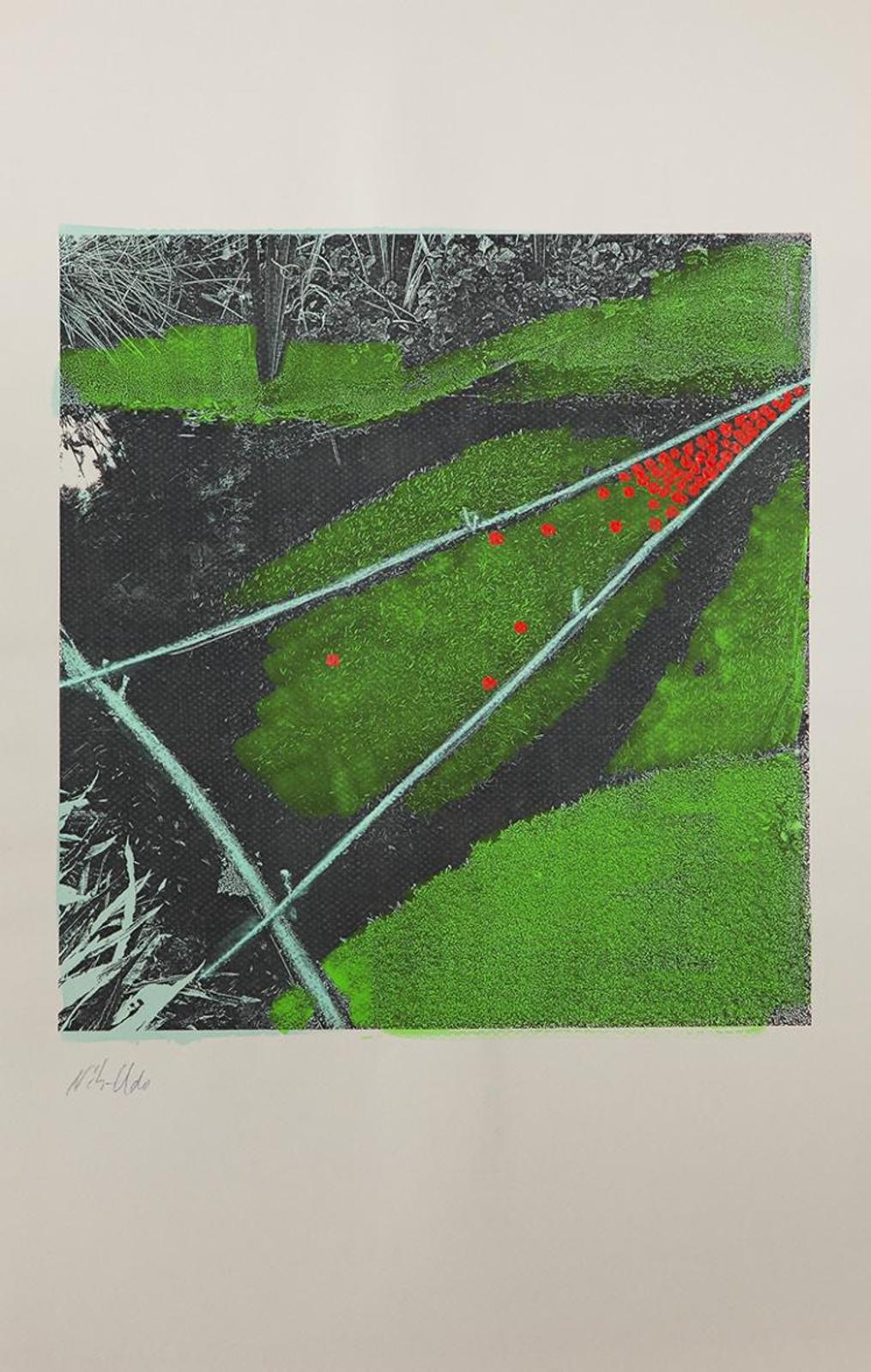 Nils Udo (1937) - Untitled