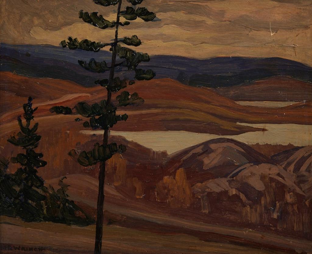 Mary Evelyn Wrinch (1877-1969) - Tall Pine