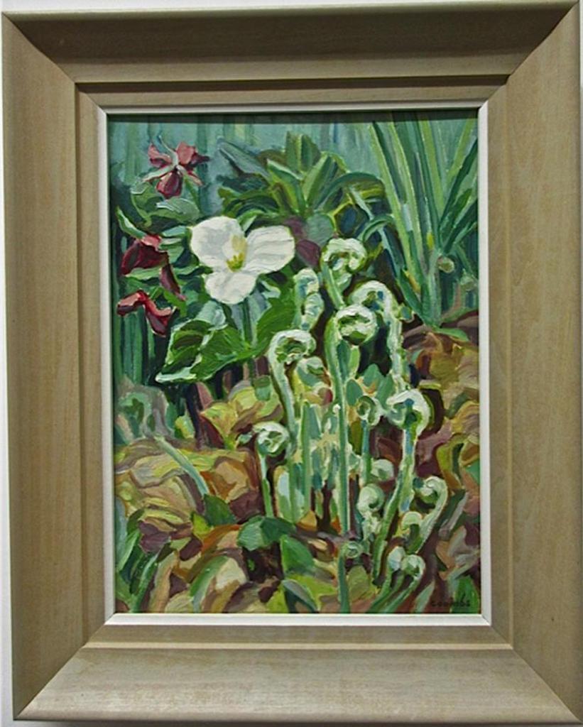 Edith Grace (Lawson) Coombs (1890-1986) - Fiddle Heads With Trilliums