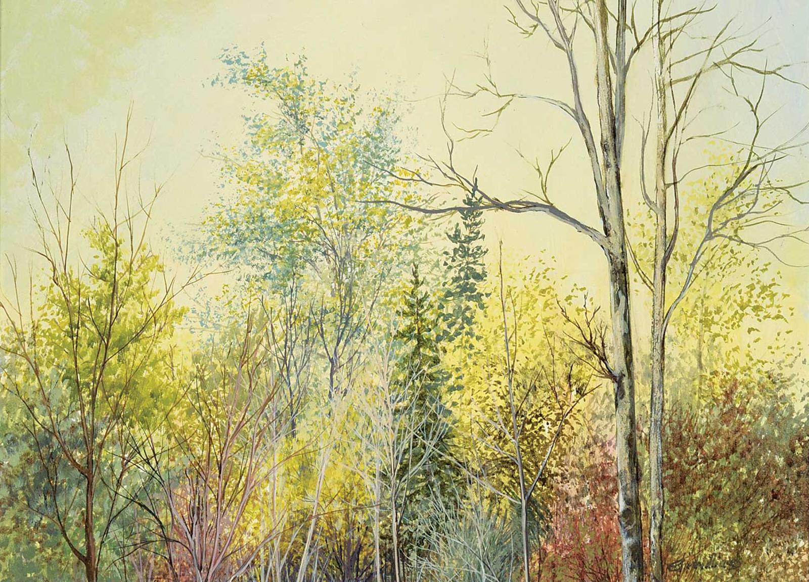 Colin E. Williams (1935) - Early Spring