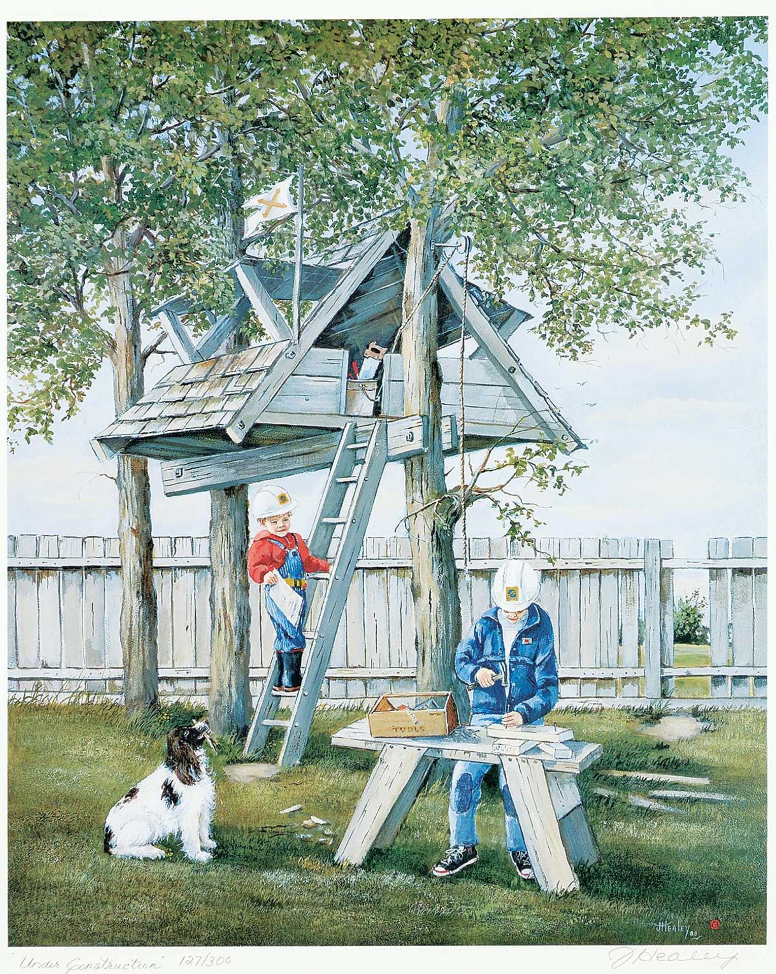 Joan Healey - Under Construction  #127/300