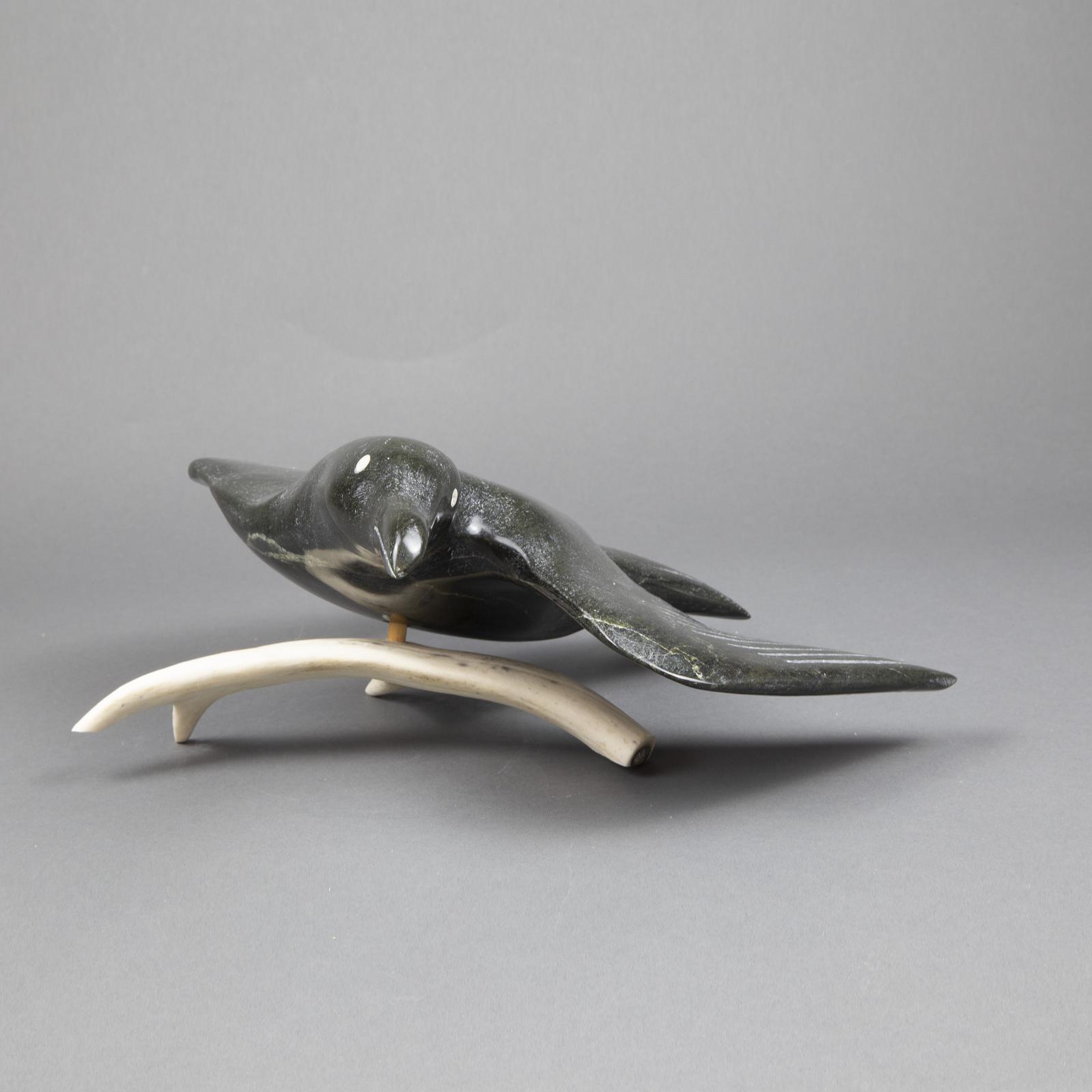 Ron Taylor (1967-2011) - Hawk