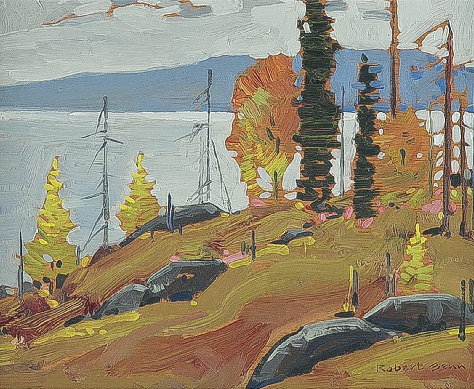 Robert Douglas Genn (1936-2014) - Saltspring South, 1977
