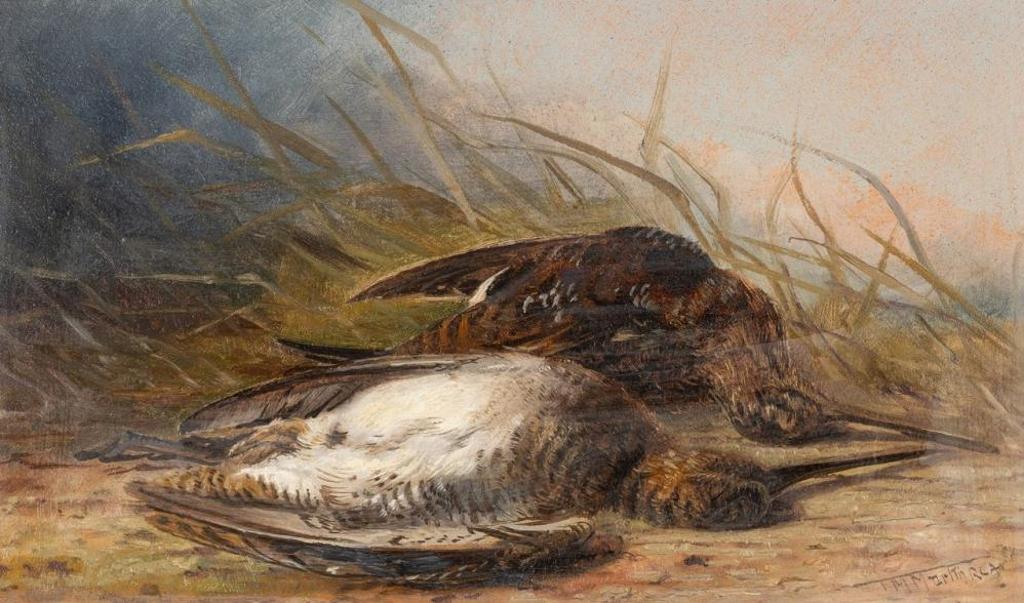 Thomas Mower Martin (1838-1934) - Snipes