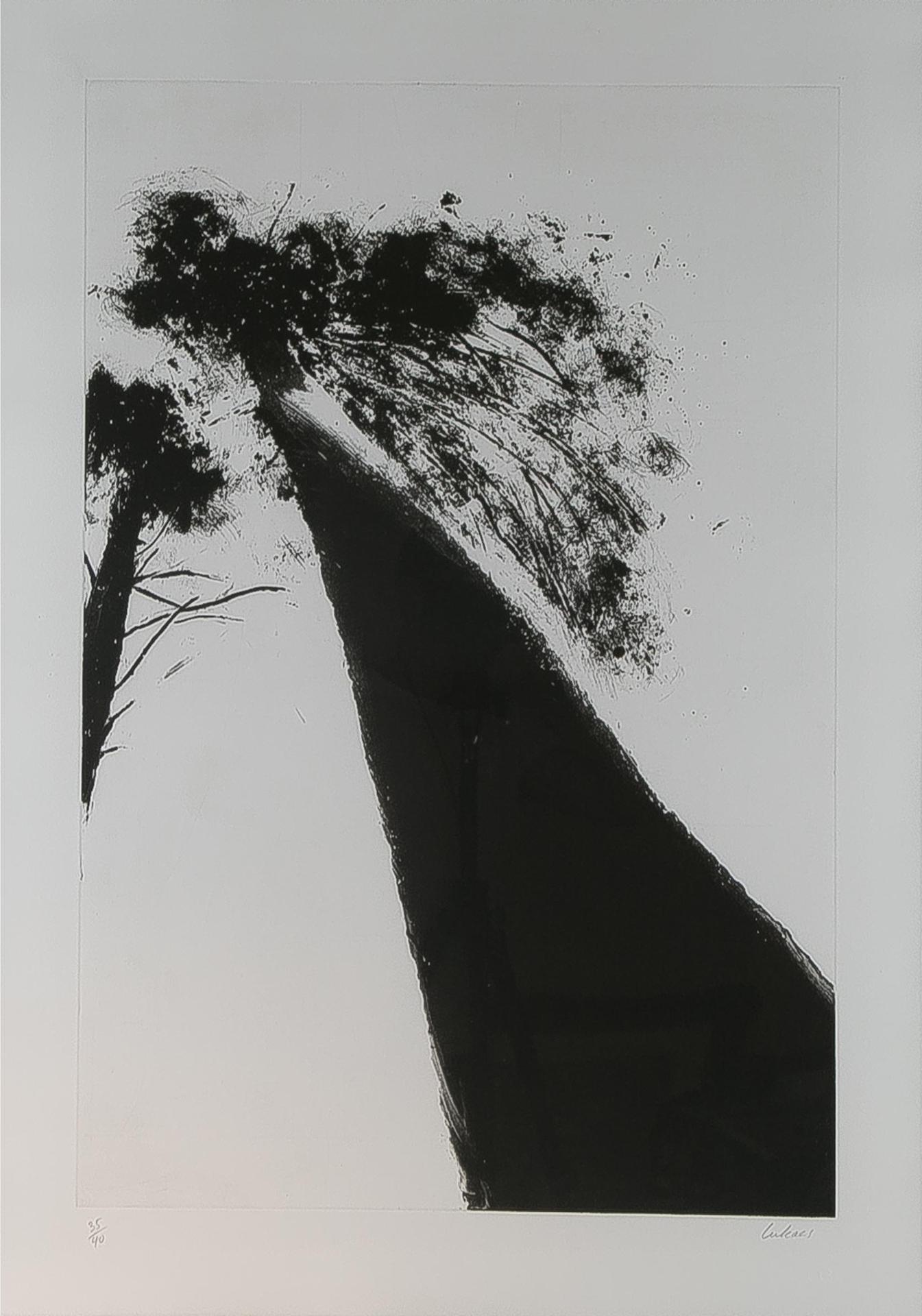Attila Richard Lukacs (1962) - Arbor Ii