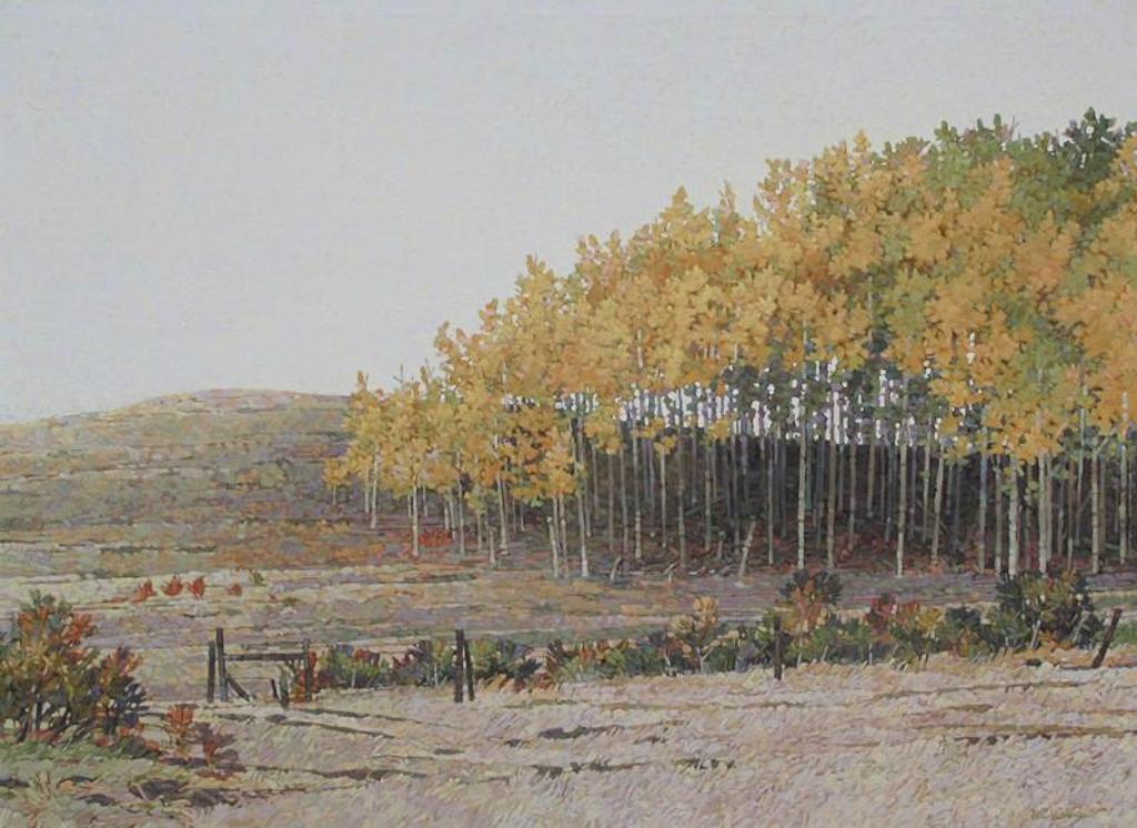 Walter (Drahanchuk) Drohan (1932-2007) - Aspen Grove; 1989