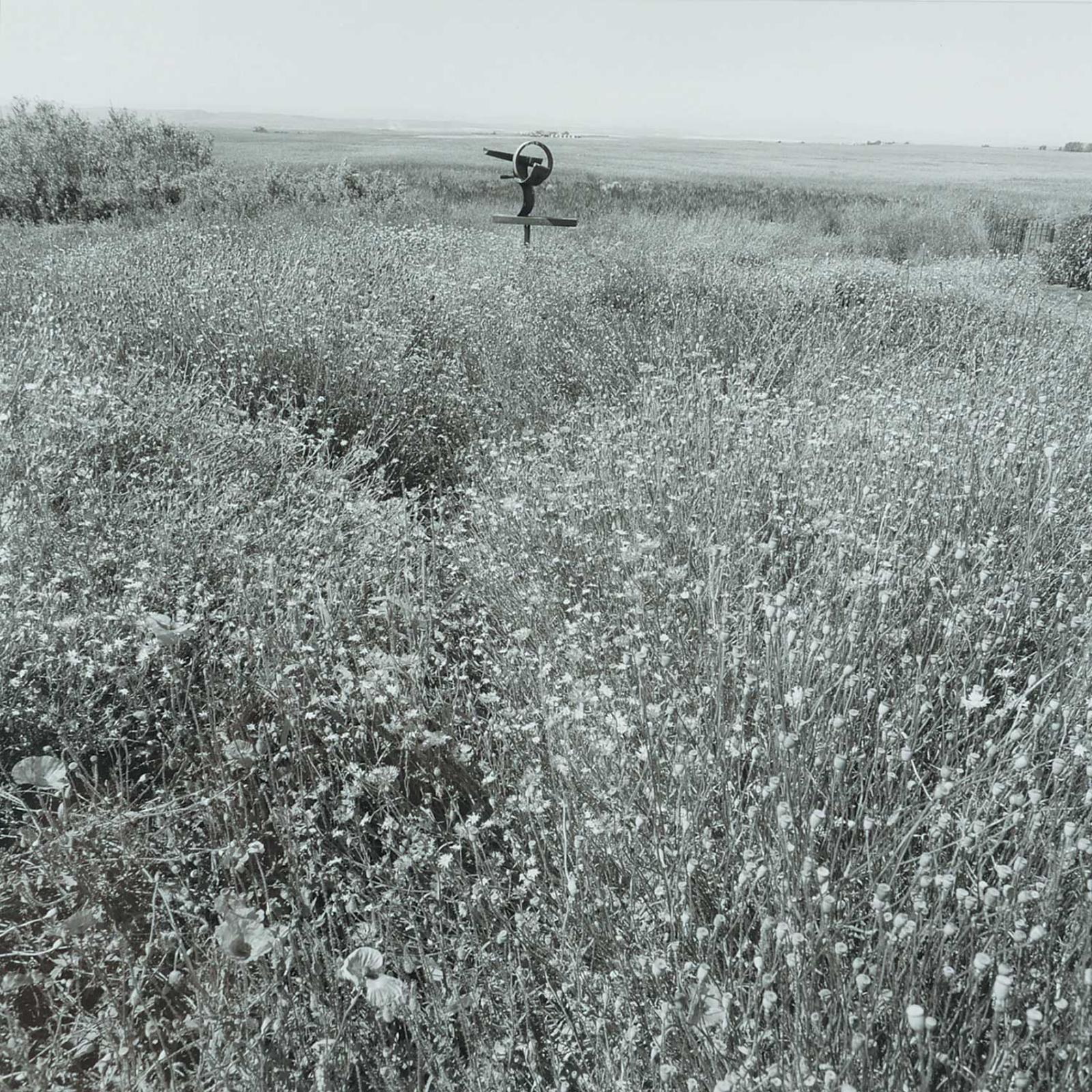Geoffrey James (1942) - Untitled - Coutts Centre Meadow with Ben McLeod Sculpture