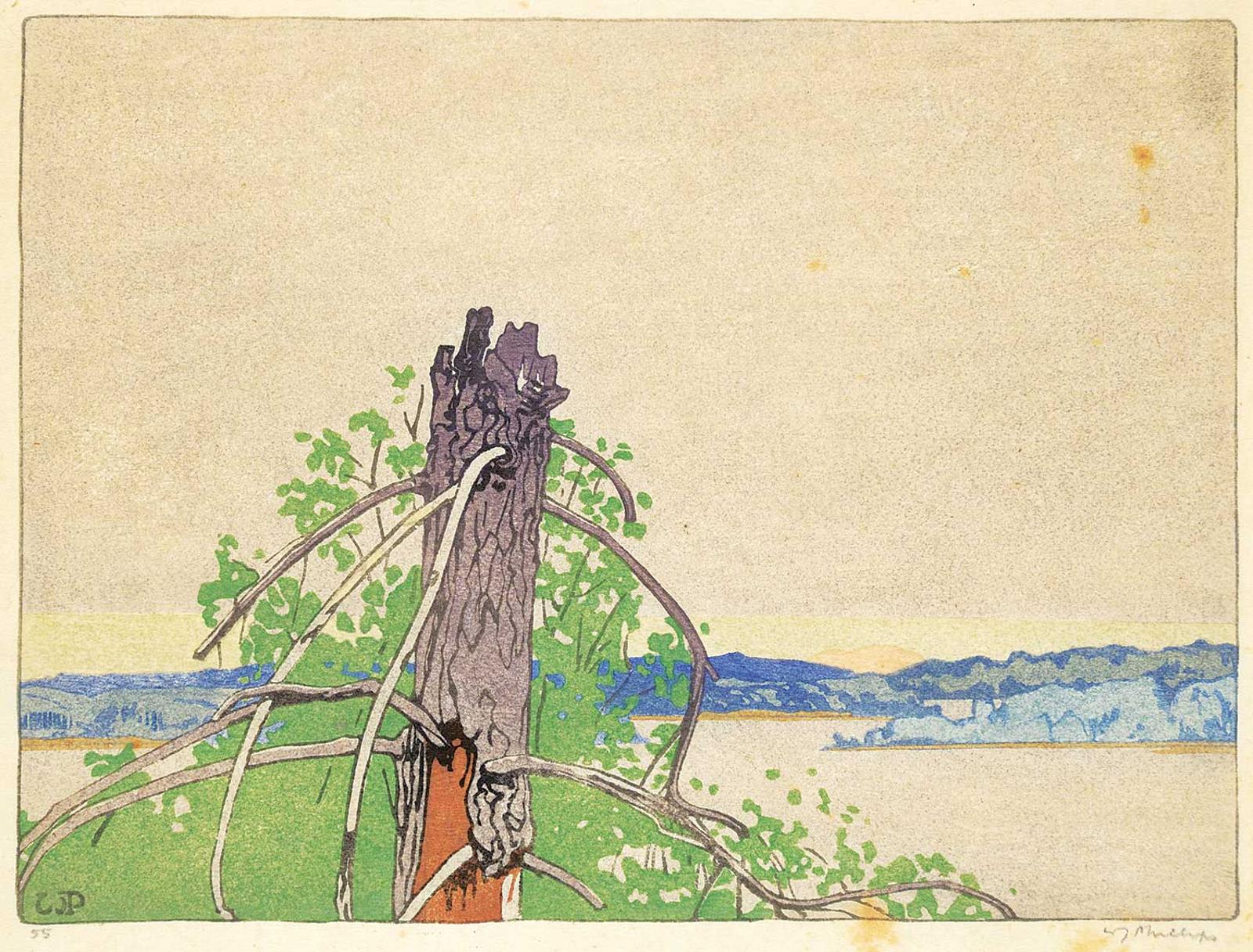 Walter Joseph (W.J.) Phillips (1884-1963) - The Stump #55