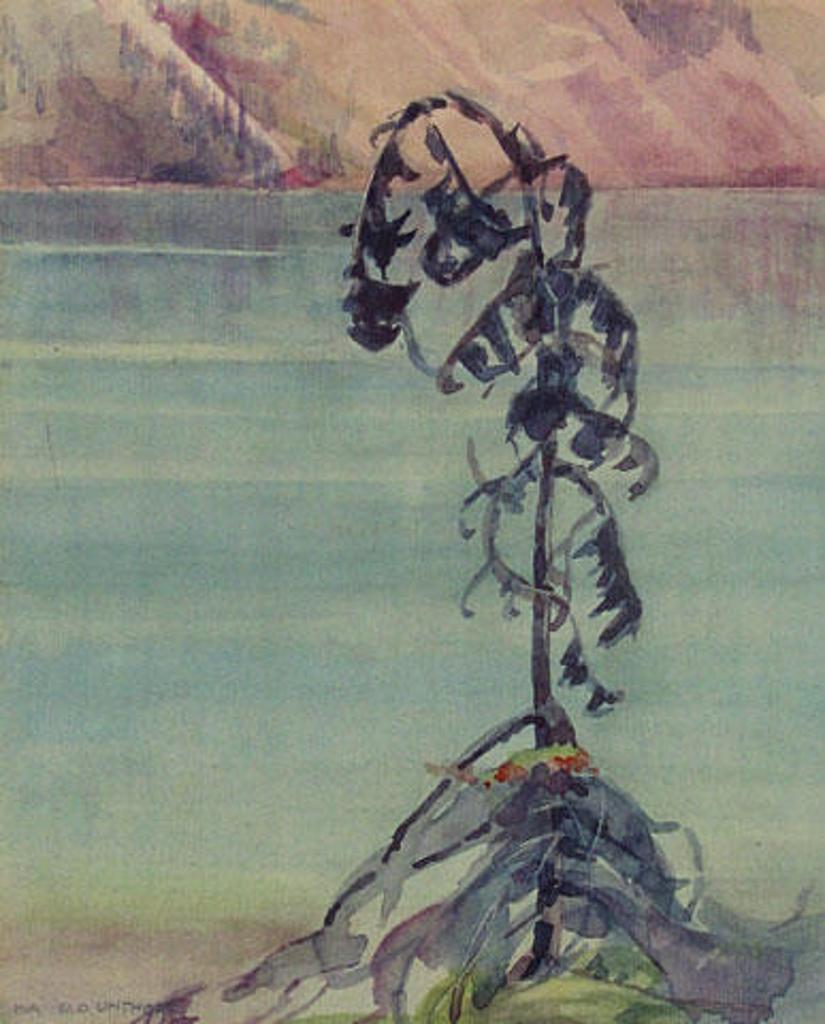 Ina D.D. Uhthoff (1889-1971) - Untitled