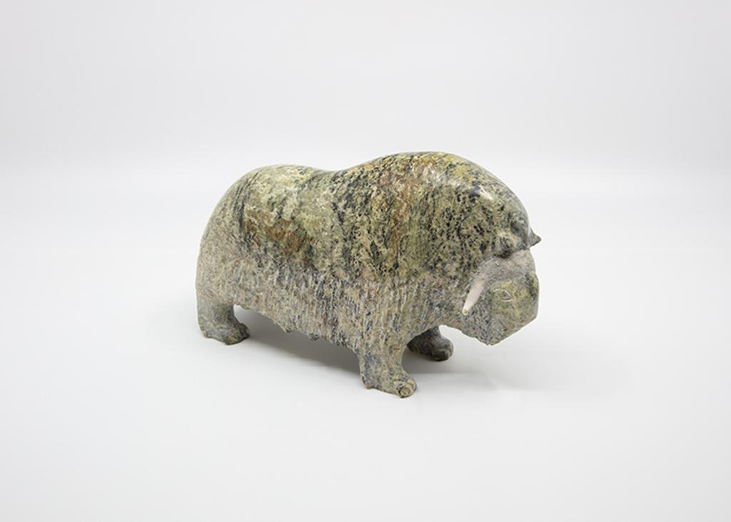 Joamie Ipeelie (1963) - Musk Ox