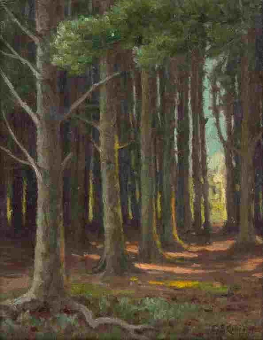 Gertrude Spurr Cutts (1858-1941) - Forest
