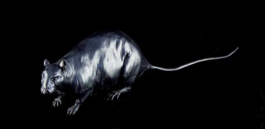 Nicola Prinsen (1955) - Rat