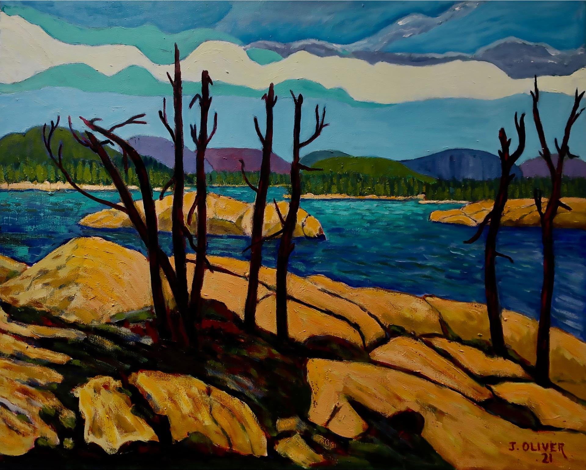 John Oliver (1939) - Burnt Lake, Algonquin Pk #8