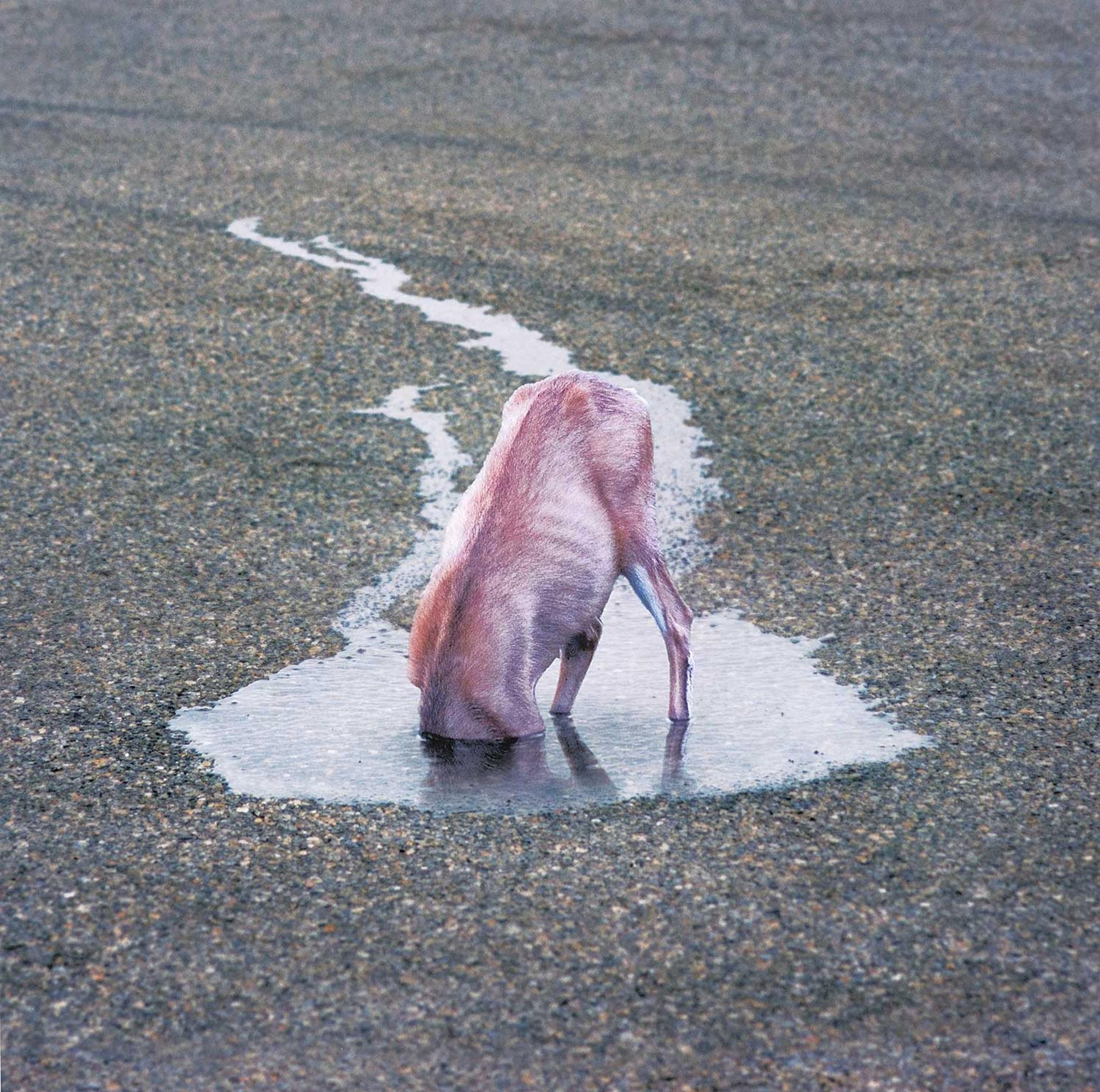 Philip Kanwischer - Untitled - Head in a Puddle #1/10